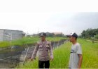Warga-Desa-Trosobo-Siap-Panen-Lele,-Dukung-Program-Ketahanan-Pangan