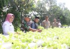 Kapolresta-Sidoarjo-Apresiasi-Budidaya-Pakcoy-Hidroponik-untuk-Swasembada-Pangan