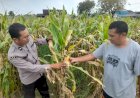 Polsek-Prambon-Dampingi-Petani-Guna-Sukseskan-Program-Ketahanan-Pangan