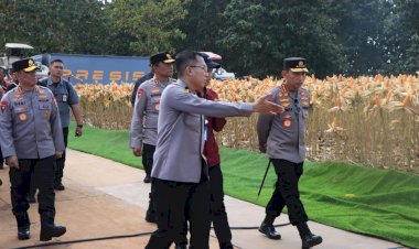 Polri-Bersama-Petani-Jagung-Tuban-Bersiap-Sambut-Kehadiran-Presiden-RI-pada-Panen-Raya