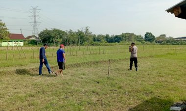 Polisi-Sidoarjo-Gandeng-Gapoktan-untuk-Keberhasilan-Tanaman-Jagung