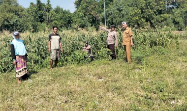 Polisi-dan-Petani-Tulangan-Dukung-Ketahanan-Pangan