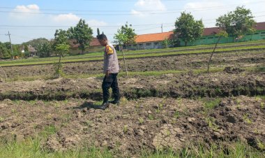 Bhabinkamtibmas-Wonoayu-Ajak-Petani-Optimalkan-Lahan-Jagung