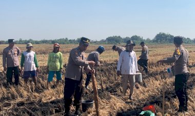 Polsek-Tanggulangin-Tanam-Jagung-Bersama-Gapoktan-di-Randegan
