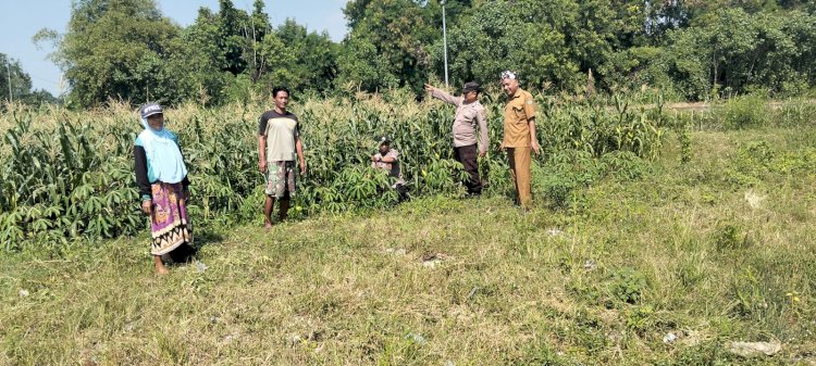 Polisi dan Petani Tulangan Dukung Ketahanan Pangan