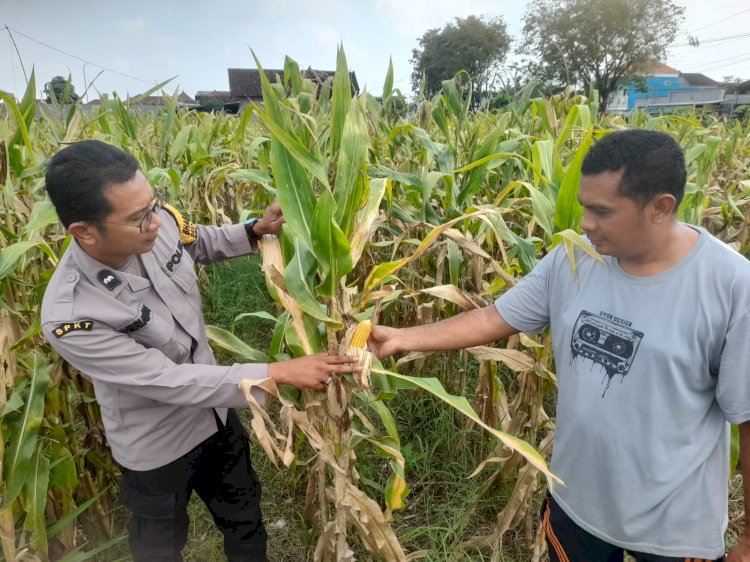 Polsek Prambon Dampingi Petani Guna Sukseskan Program Ketahanan Pangan