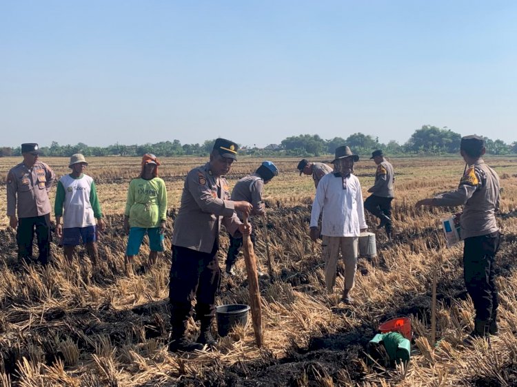 Polsek Tanggulangin Tanam Jagung Bersama Gapoktan di Randegan